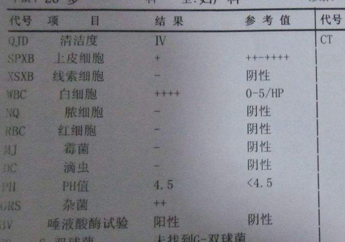 妇科白带樱花草视频在线观看高清免费资源谈阴道分泌物化验单要怎么看？