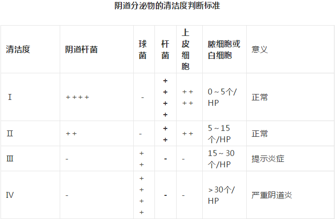 全自动阴道分泌物樱花草视频在线观看高清免费资源剖析阴道分泌物的洁净度规范