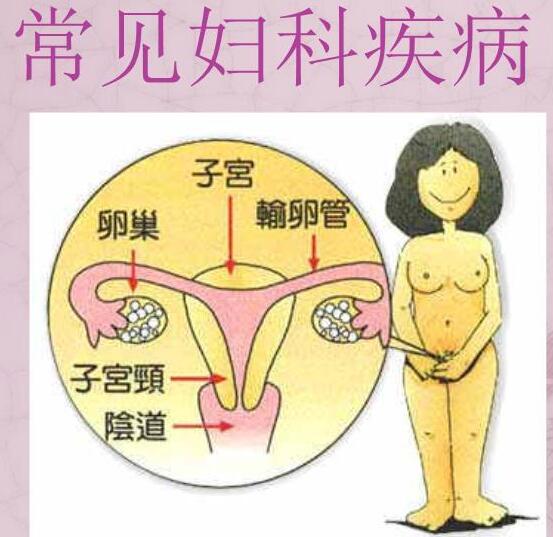 医院全自动白带樱花草在线社区www中文字幕检测女人妇科3种症状，谨防子宫长瘤！